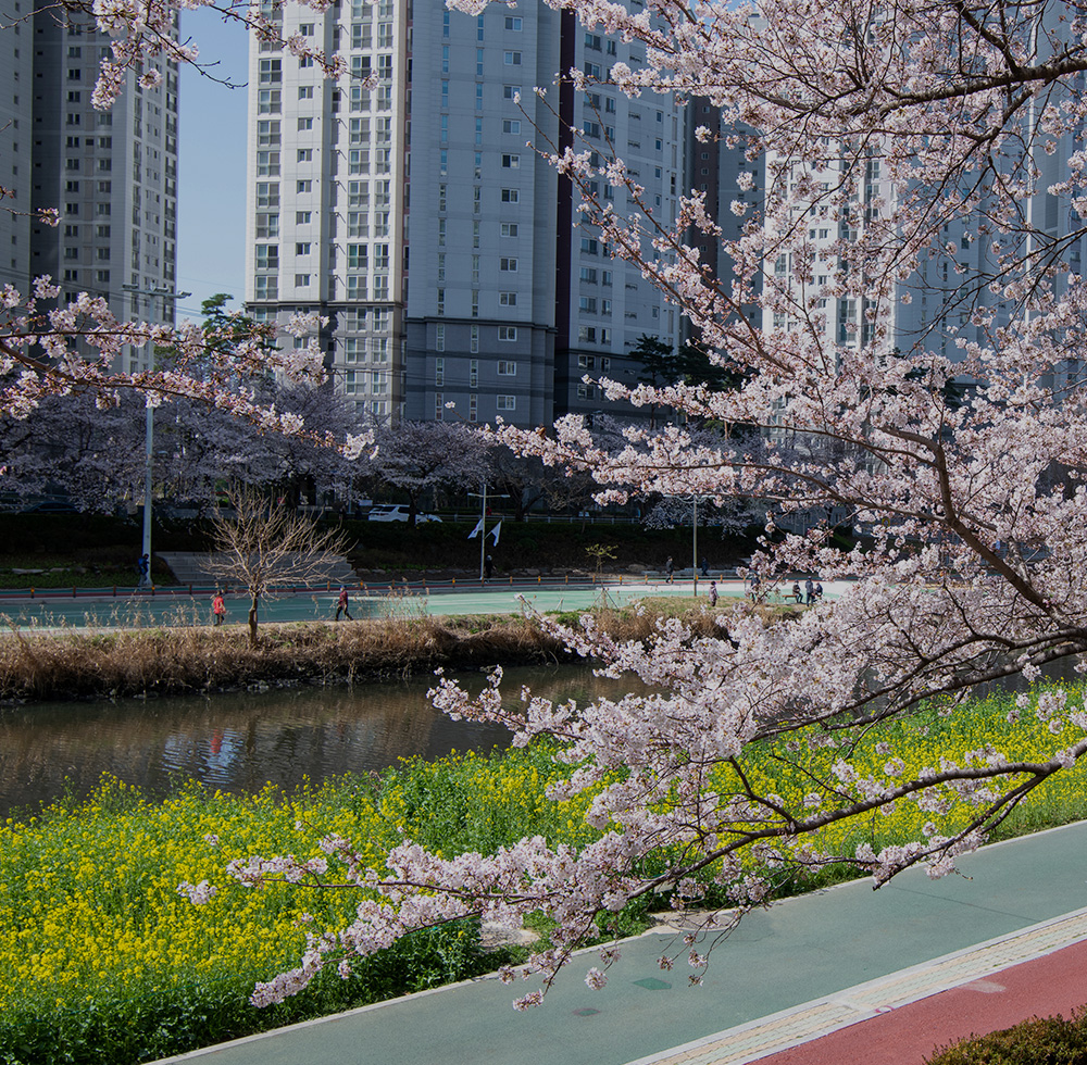동래 반도유보라 모델하우스 온천천과 수민어울공원 인접 힐링 동선을 담은 이미지